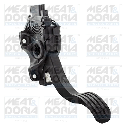 Accelerator Pedal Unit